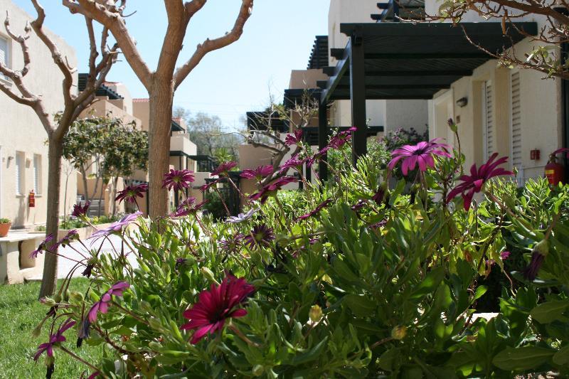 Grecotel Casa Adele Platanes  Ngoại thất bức ảnh